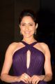 Pragya Jaiswal New Images @ Chiranjeevi 61st Birthday Party