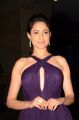 Pragya Jaiswal New Images @ Chiranjeevi 61st Birthday Party