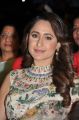 Actress Pragya Jaiswal Saree Pics @ TSR Kakatiya Cultural Festival