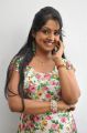 New Telugu Actress Pramodini Photos