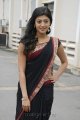 Praneetha Cute Saree Stills