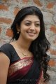 Praneetha Cute Saree Stills