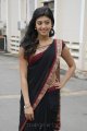 Praneetha Cute Saree Stills