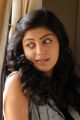 Saguni Praneetha Latest Stills