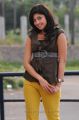 Praneetha Latest Stills in Saguni