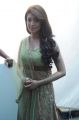 Pranitha Subhash Hot Stills at Mohan Babu Movie Launch