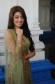 Actress Pranitha Latest Stills at Mohan Babu Movie Launch