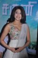 Tamil Actress Pranitha Latest Hot Photos
