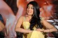 Pranitha in Saree at Shakuni Audio Release