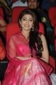 Actress Pranitha Hot Images @ Attarintiki Daredi Success Meet