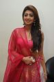 Actress Pranitha Hot Images @ Attarintiki Daredi Thank You Meet