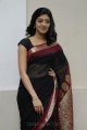 Pranitha Hot in Saree Stills