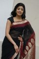 Pranitha Hot in Saree Stills