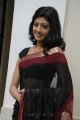 Pranitha Hot in Saree Stills