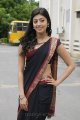 Pranitha Hot in Saree Stills