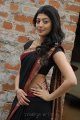 Pranitha Hot in Saree Stills