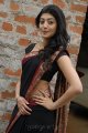 Pranitha Hot in Saree Stills