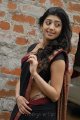 Pranitha Hot in Saree Stills