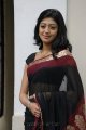 Pranitha Hot in Saree Stills