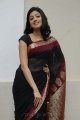 Pranitha Hot in Saree Stills