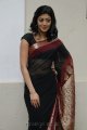 Pranitha Hot in Saree Stills