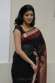 Pranitha Hot in Saree Stills