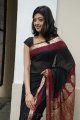 Pranitha Hot in Saree Stills