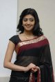 Pranitha Hot in Saree Stills