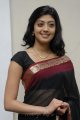 Pranitha Hot in Saree Stills