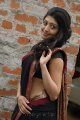 Pranitha Hot in Saree Stills