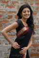 Pranitha Hot in Saree Stills