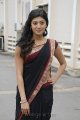 Pranitha Hot in Saree Stills