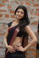 Pranitha Hot in Saree Stills