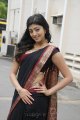 Pranitha Hot in Saree Stills