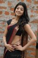 Pranitha Hot in Saree Stills