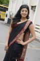 Pranitha Hot in Saree Stills