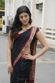 Pranitha Hot in Saree Stills