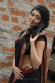 Pranitha Hot in Saree Stills