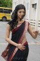 Pranitha Hot in Saree Stills