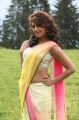 Actress Pranitha Hot Saree Photos in Attarintiki Daredi