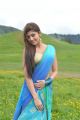Actress Pranitha Hot Saree Photos in Attarintiki Daredi