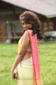 Attarintiki Daredi Pranitha Hot Saree Photos