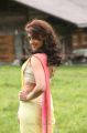 Actress Pranitha Hot Saree Photos in Attarintiki Daredi