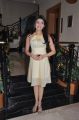 Pranitha Hot Stills at Saguni Success Meet