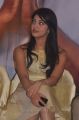Tamil Actress Pranitha New Hot Pics