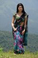 Actress Pranitha Hot in Saree Latest Stills