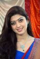 Actress Pranitha Saree Latest Hot Stills