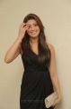 Praneetha Latest Hot Photos in Dark Brown Dress