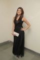 Pranitha Latest Hot Photos in Dark Brown Gown