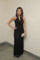 Pranitha Subhash Hot Photos in Dark Brown Gown